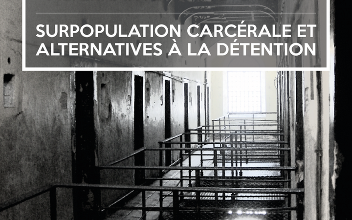 Conferinţa Internaţională "Prison Overcrowding and Alternatives to Detention/ Surpopulation carcérale et alternatives à la détention"